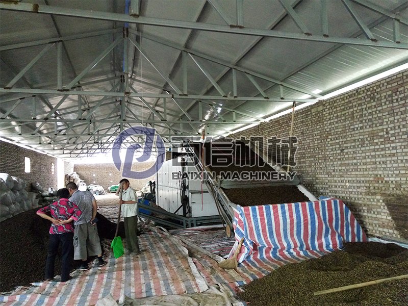 連翹烘干機-連翹烘干設(shè)備-連翹