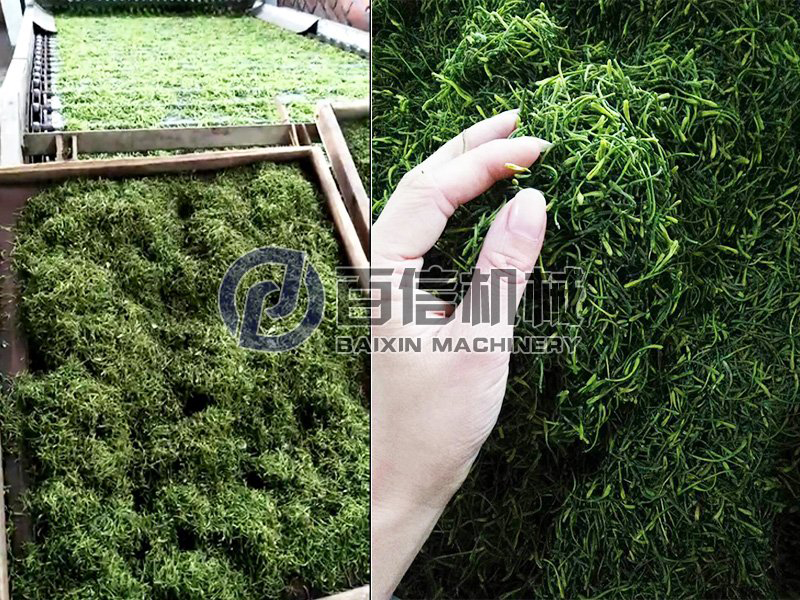 金銀花烘干機(jī)-金銀花烘干設(shè)備