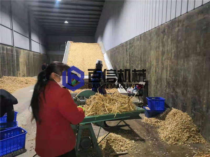 桔梗烘干機(jī)-桔梗烘干設(shè)備-網(wǎng)帶