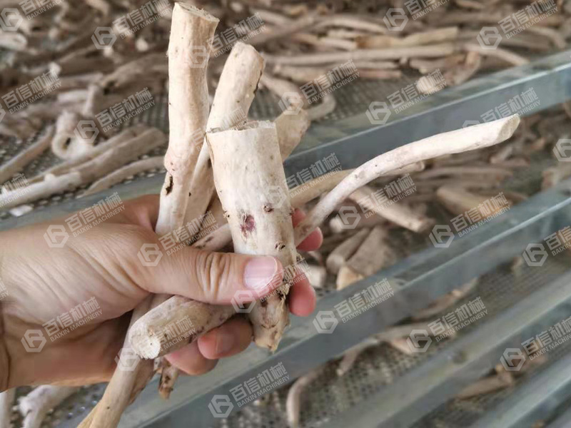 白術烘干機-白術烘干設備-白術