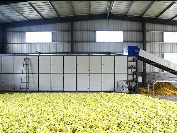 黃蜀葵烘干機-黃蜀葵烘干設備