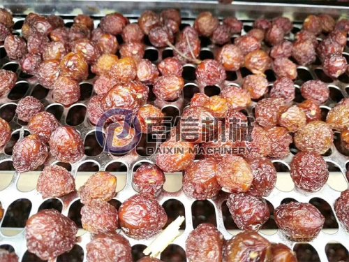 果實(shí)類物料如何烘干？ 果脯烘干加工