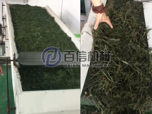 大型網(wǎng)帶式烘干機(jī)-構(gòu)葉飼料烘干的不二選擇！