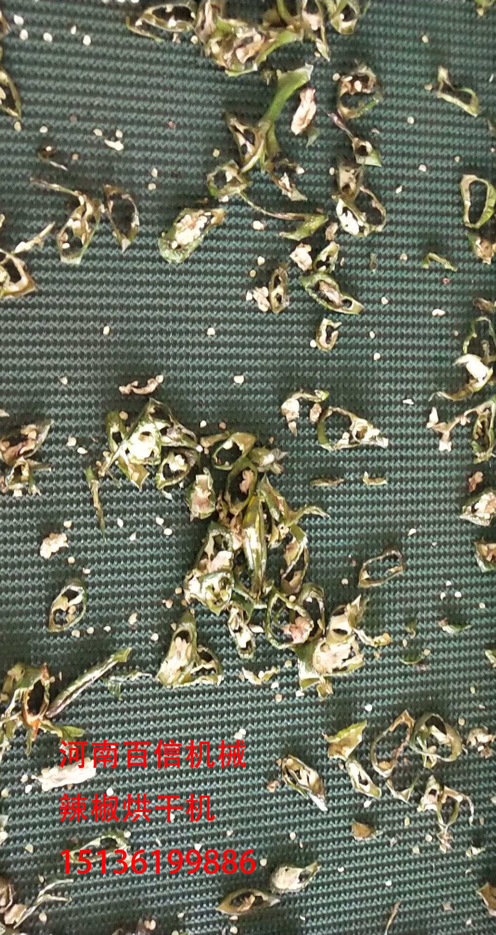 全自動辣椒烘干機成品圖