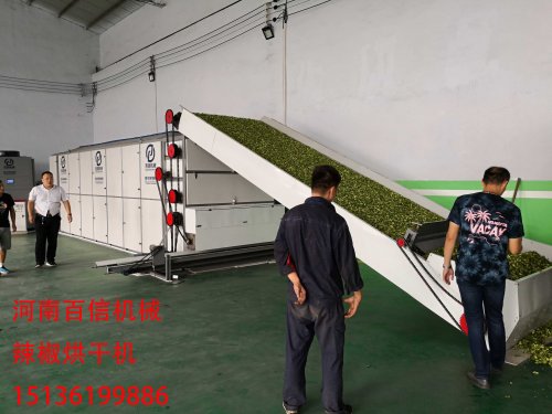 辣椒花椒網(wǎng)帶烘干機(jī)如何合理度過適應(yīng)期