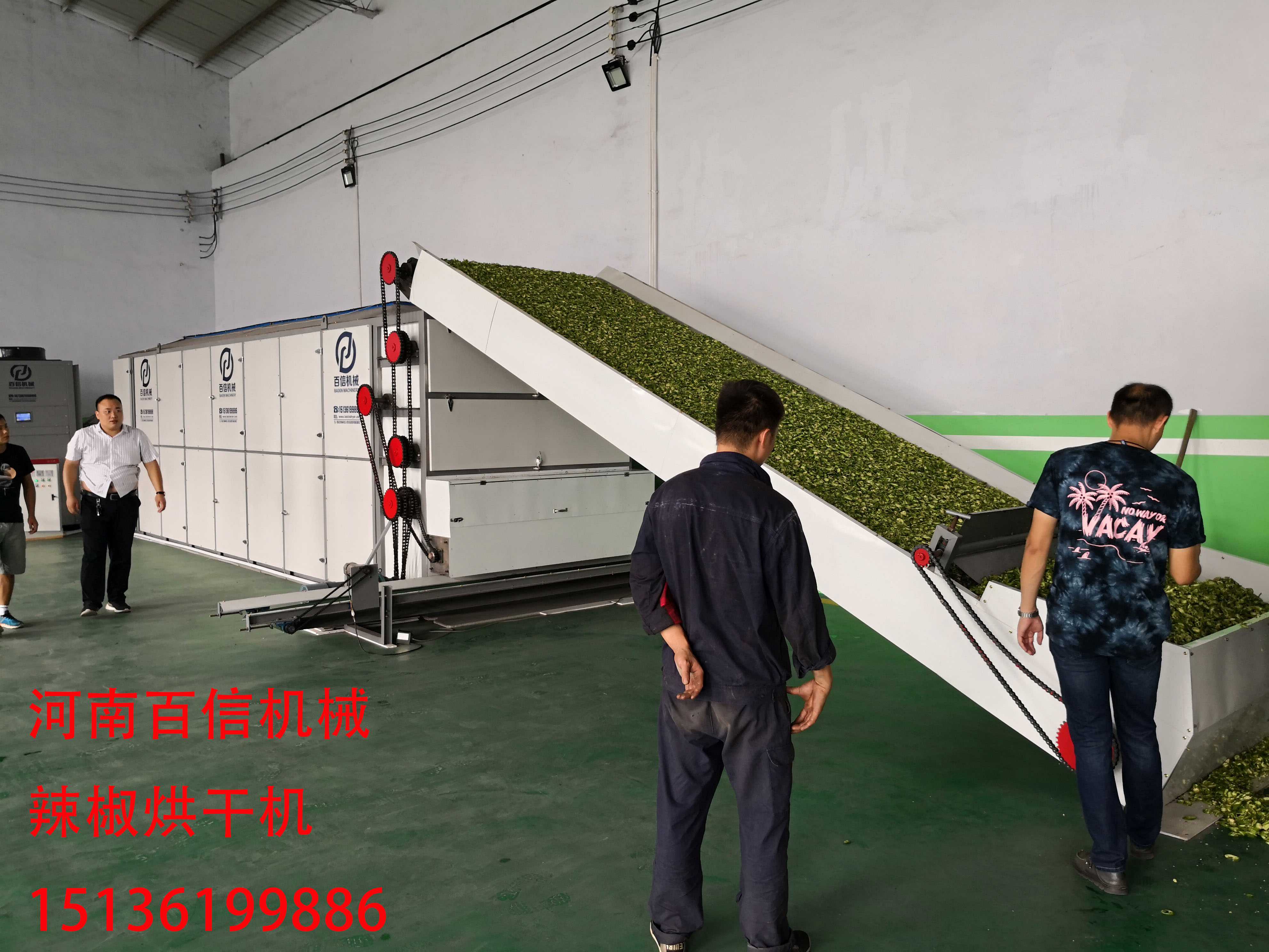 辣椒花椒網(wǎng)帶烘干機(jī)生產(chǎn)現(xiàn)場(chǎng)圖