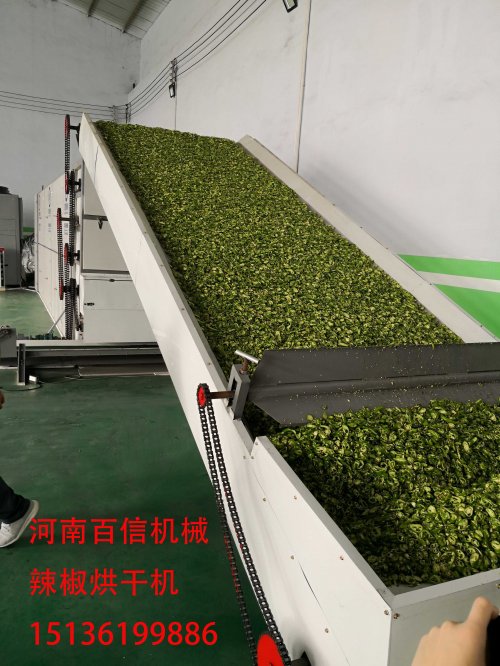 辣椒花椒網(wǎng)帶烘干機(jī)會是“新網(wǎng)紅”嗎