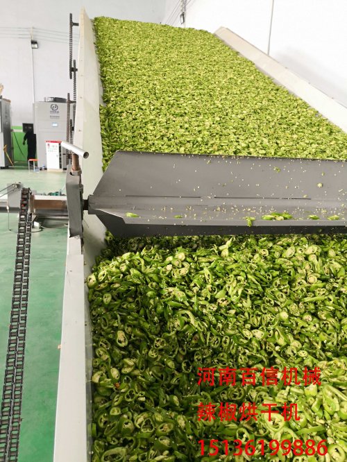 辣椒烘干設(shè)備產(chǎn)量大小被這些因素左右