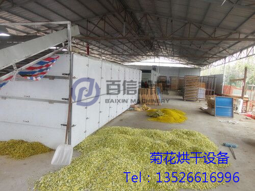 菊花烘干設(shè)備