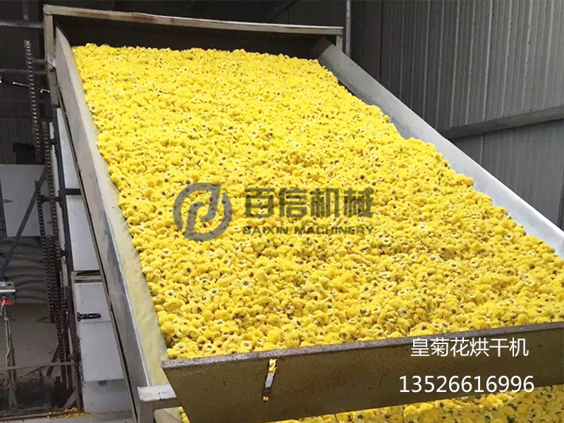 菊花烘干機(jī)