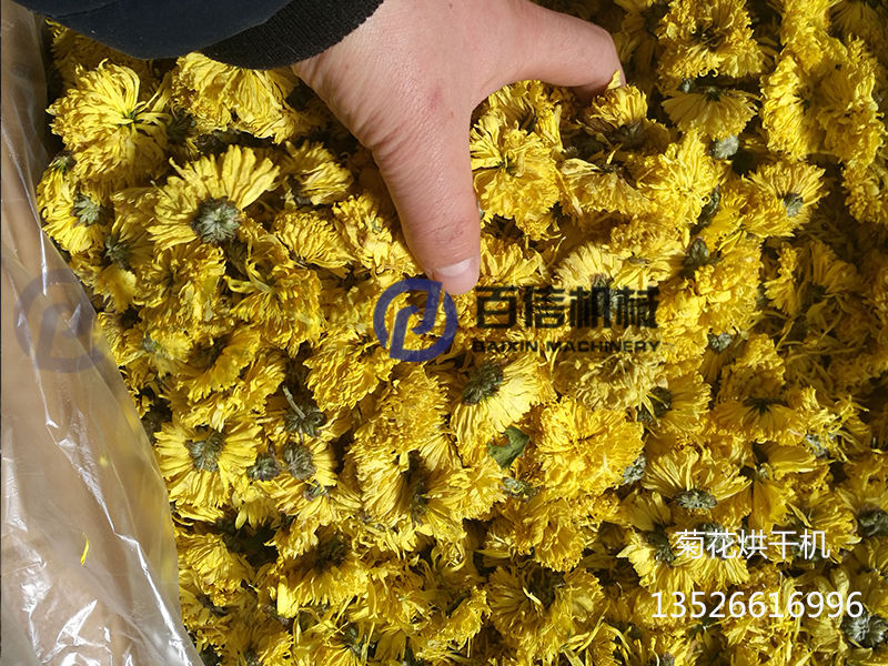 菊花烘干機