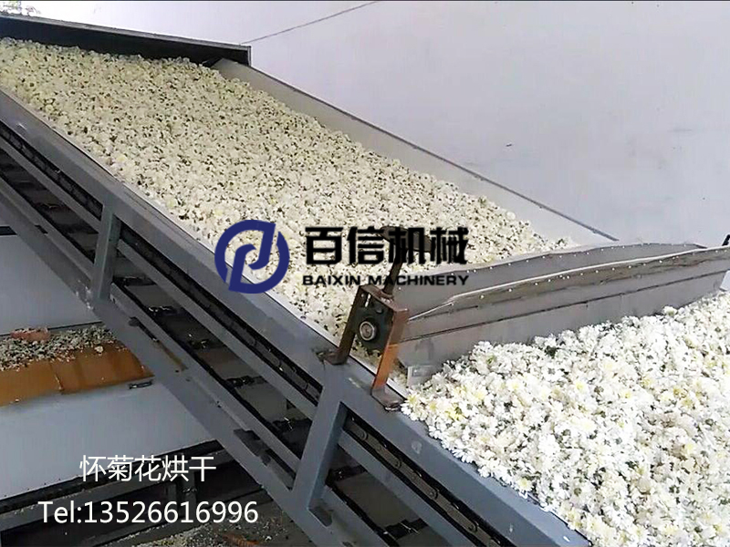 焦作懷菊花烘干機
