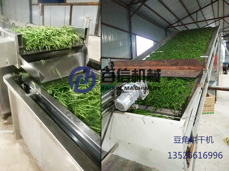 黑龍江豆角脫水加工生產(chǎn)線