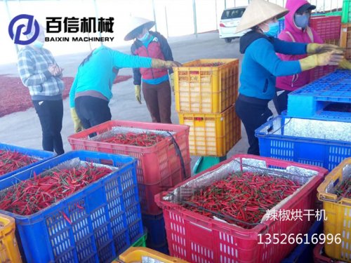 辣椒烘干機(jī)產(chǎn)量如何？