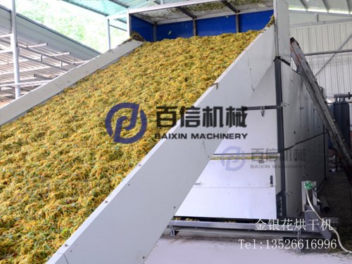 如何防止金銀花變色？選對(duì)金銀花烘干機(jī)很重要