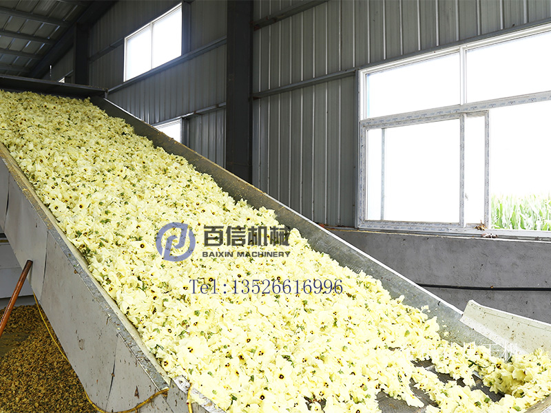 黃蜀葵花烘干機