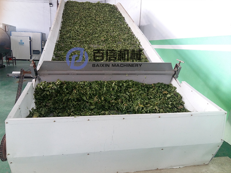 食葉草烘干機