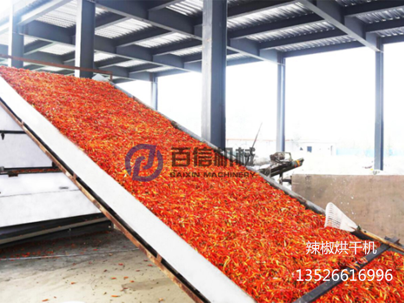 云南辣椒網(wǎng)帶烘干機(jī)現(xiàn)場