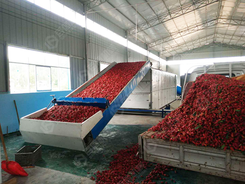 辣椒烘干設(shè)備