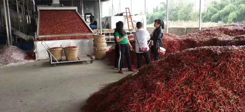 辣椒烘干機的選擇