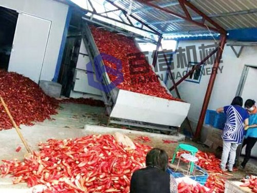 優(yōu)質網(wǎng)帶式辣椒烘干機廠家選擇