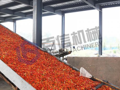 影響辣椒干燥因素分析