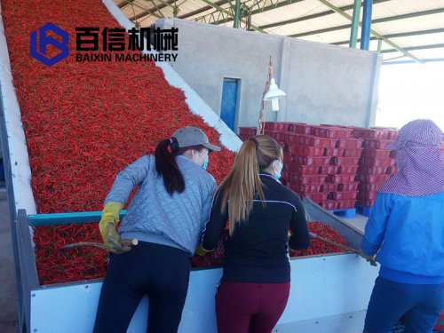 辣椒烘干機(jī)的發(fā)展背景