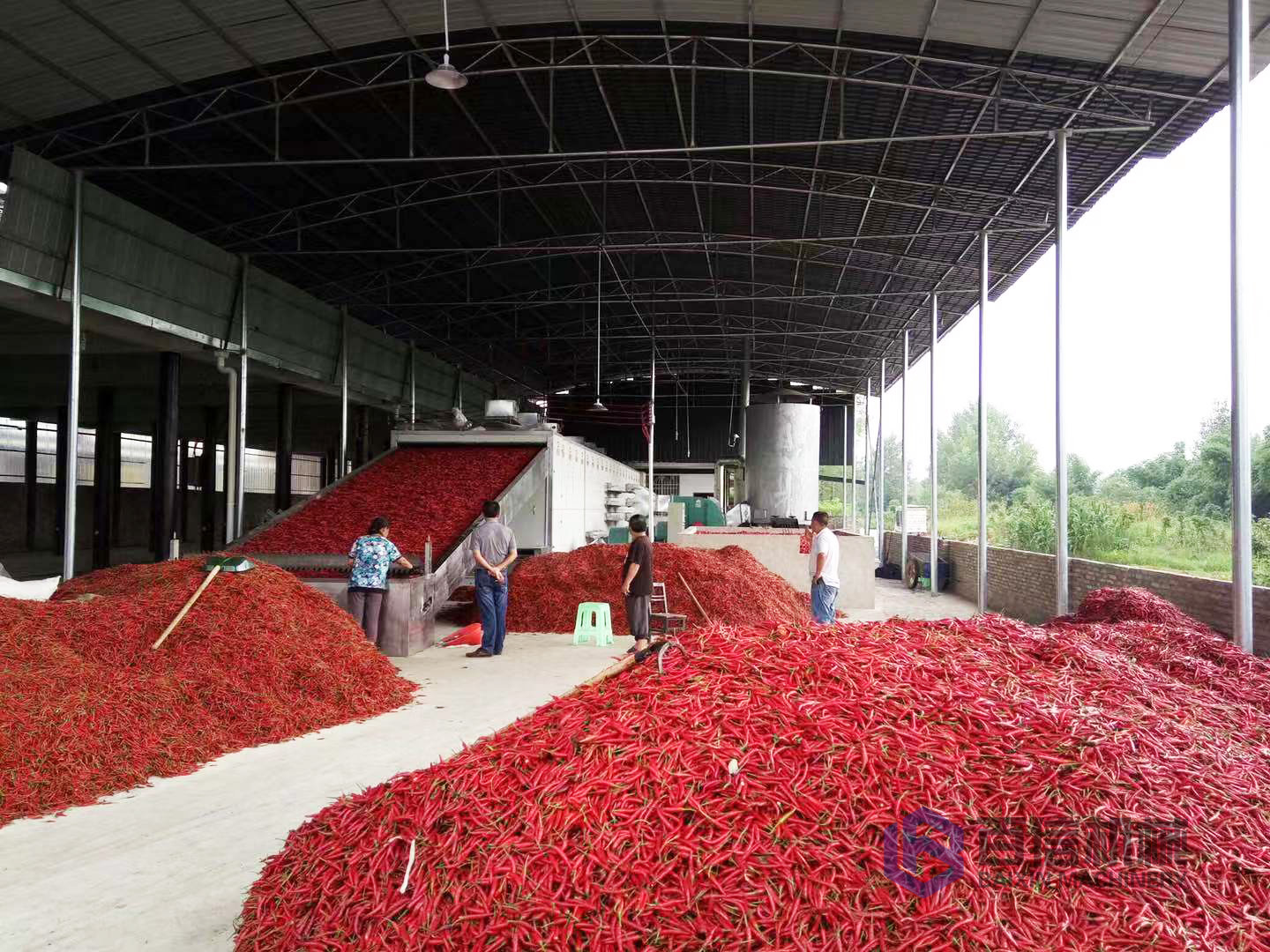 辣椒烘干機