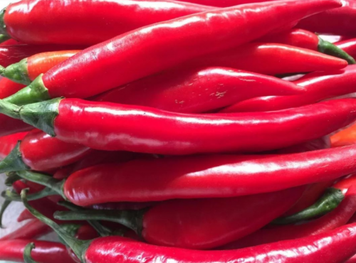 什么是工業(yè)辣椒烘干機？