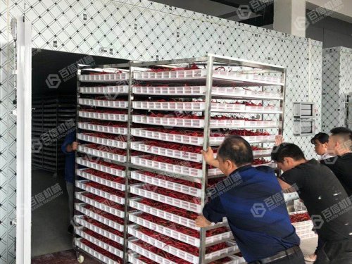 小型辣椒烘干機廠家百信機械供應不同型號熱泵辣椒烘干機