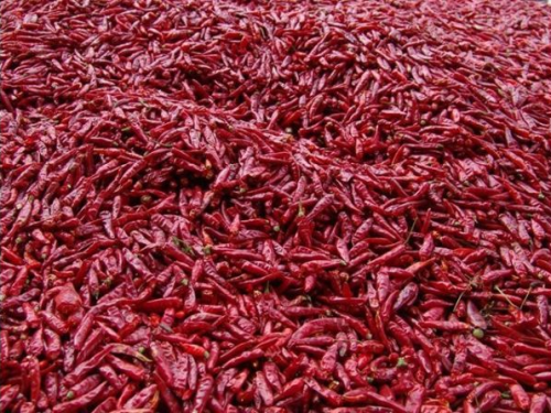 幾塊錢的小型辣椒烘干機可以買嗎？效果咋樣？