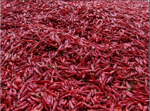 辣椒烘干機(jī)廠家助力三農(nóng)脫貧致富好幫手