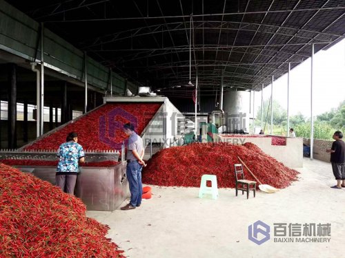 怎樣選擇辣椒烘干機？
