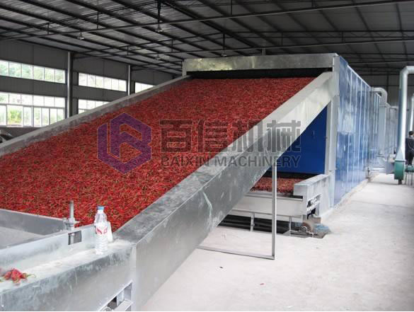 網(wǎng)帶辣椒烘干機(jī)
