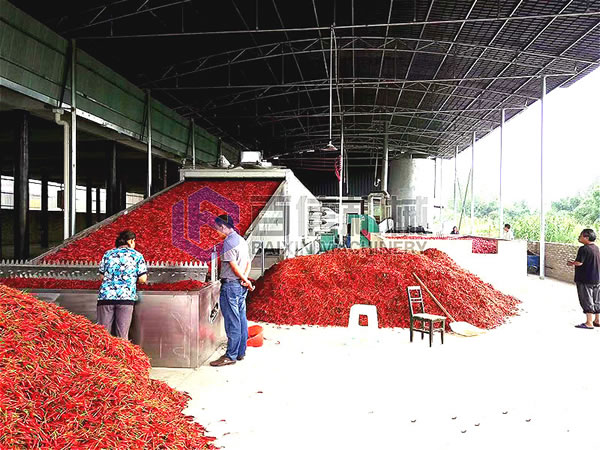辣椒烘干機(jī)