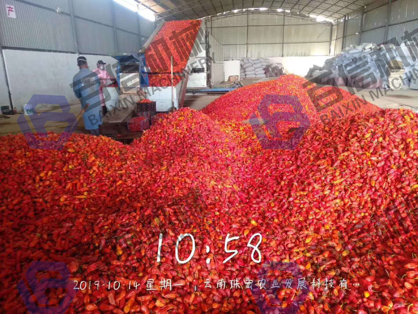 辣椒烘干機(jī)