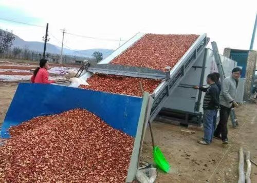 日處理1000到10000公斤辣椒烘干機價錢都是多少？
