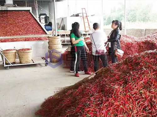 投資辣椒烘干機有多大利潤？