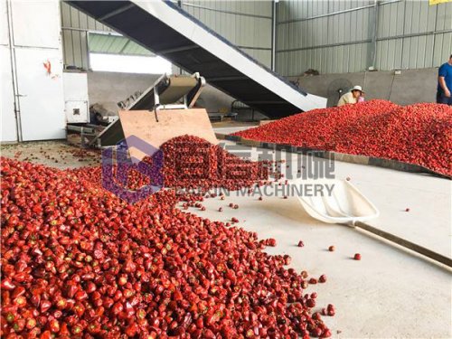 提高辣椒烘干效果和速度的方法有哪些？