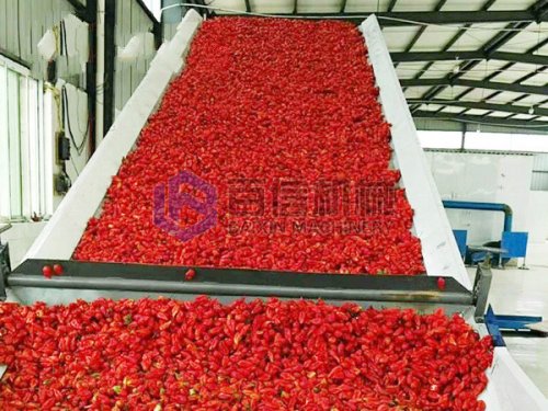 世界各國對辣椒烘干機(jī)的采購標(biāo)準(zhǔn)有什么不同？