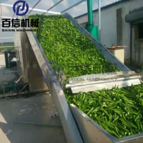 河南辣椒種植規(guī)模與辣椒烘干機(jī)市場需求分析