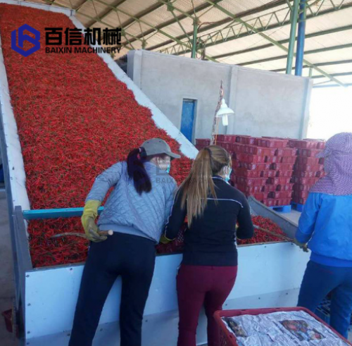 山西辣椒烘干機市場需求和辣椒種植規(guī)模分析